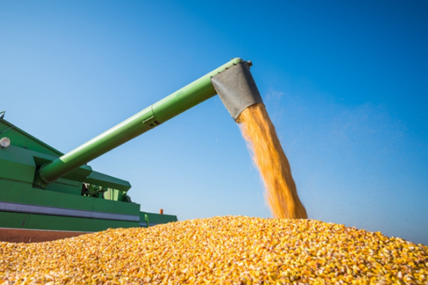 襄垣舉辦2025年玉米全程機(jī)械化新技術(shù)裝備培訓(xùn)會(huì)暨機(jī)具演示現(xiàn)場(chǎng)會(huì)