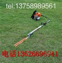 割草機背負綠籬機修剪機樹籬整修枝機綠籬剪 高枝鋸油鋸