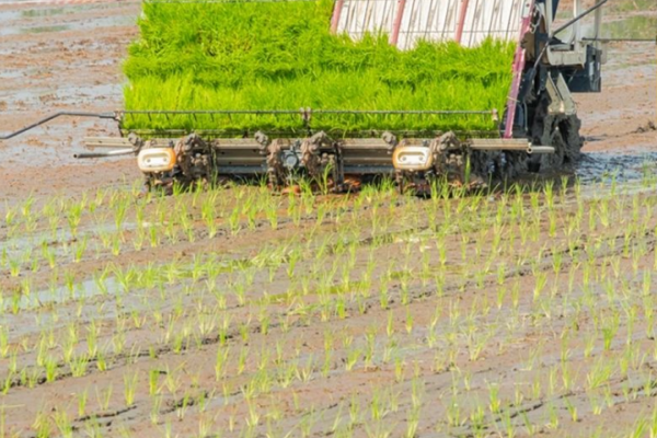 2025年黑龍江省主要糧食作物大面積單產(chǎn)提升暨農(nóng)情工作培訓(xùn)班在樺川縣舉辦