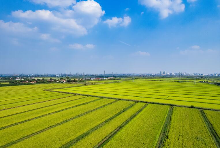 公示│農(nóng)業(yè)農(nóng)村部農(nóng)業(yè)機(jī)械化總站擬注銷5家生產(chǎn)者試驗(yàn)鑒定證書