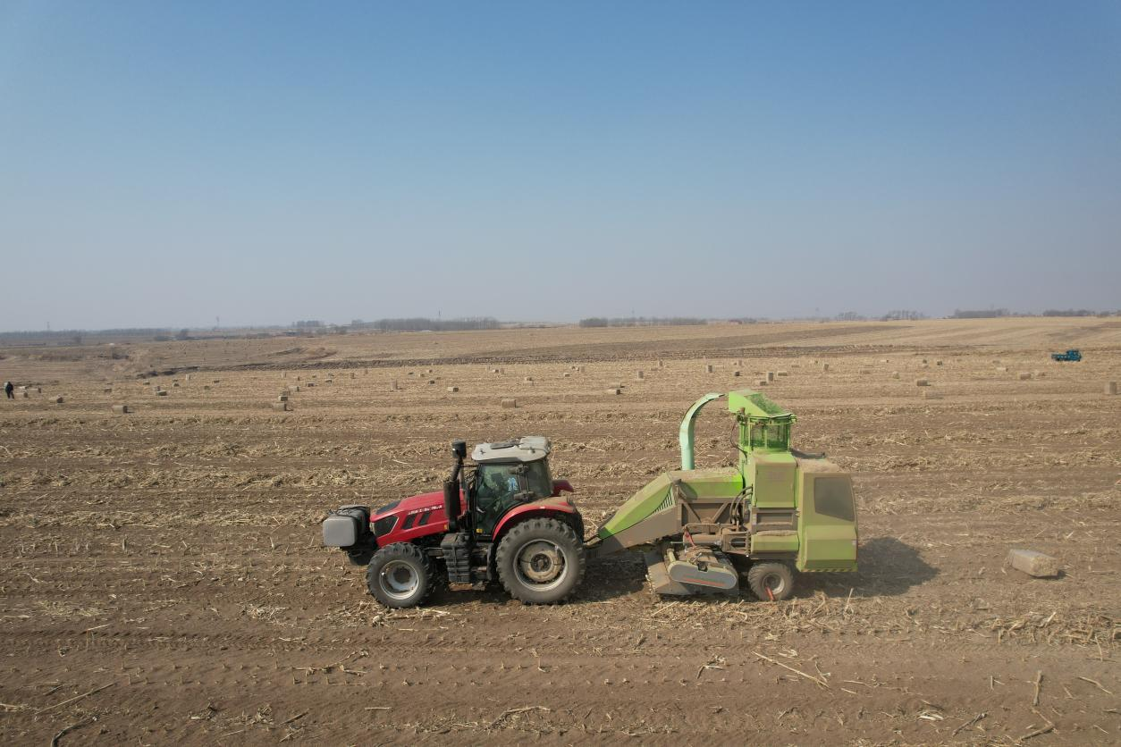 順邦用戶們的共同心聲——小投入大回報(bào)，選對(duì)機(jī)器少走彎路