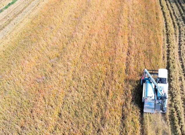 福建省大发体育场对列补机具种类范围和部分机具补贴额一览表进行调整的公示及征求意见