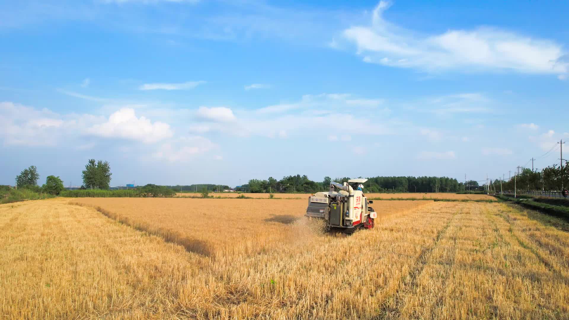 “十五五”时期：加快农业农村现代化，扎实推进乡村全面振兴