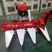 手扶艾叶割晒机 自走式薄荷收割机批发