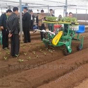 自走式辣椒移栽機(jī) 辣椒移栽緩苗幾天