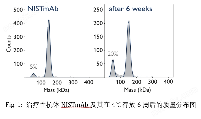 蛋白分子质量光度计